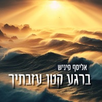 ברגע קטן עזבתיך - Single - אליסף פיניש