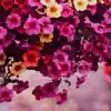 Ritzen Town - Flowers