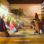 Primeiro Amor (Ao Vivo) artwork