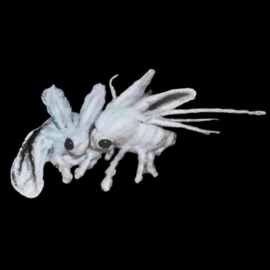 I Don't Give a F**k! (feat. Ami4evr) flowwt