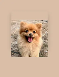 Dengarkan Demo nam, tonton video musik, baca bio, lihat tanggal tur & lainnya!