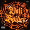 Vali Spider (feat. Alex Ung) - Single