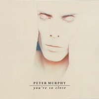 You're So Close - EP - Peter Murphy
