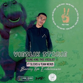Vieslik storie (feat. DJ ZEE no Shadow, Young king/Mr Saggies & Sleeks) Team Nexus