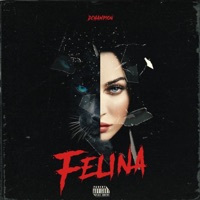 Felina - Single - DChampion
