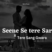 Terr Sang Gawara Seene Se tere Sare ko (Chillout Mashup) artwork