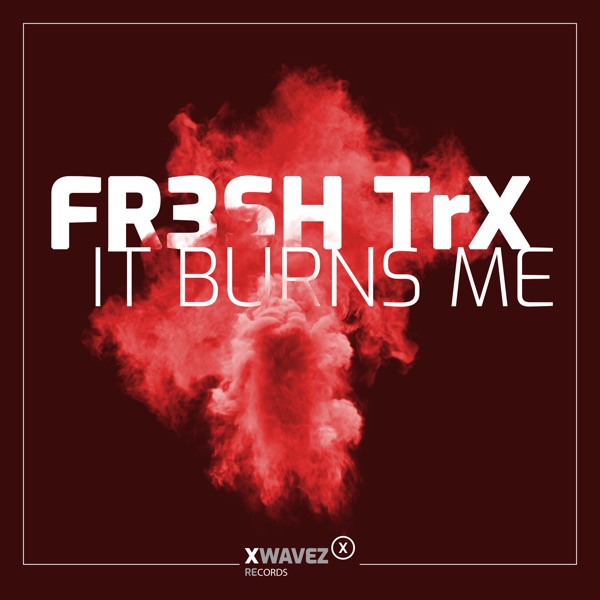 It Burns Me - Single