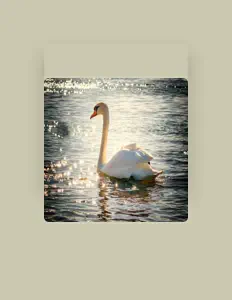 Venty सुनें, म्यूज़िक वीडियो देखें, बायो पढ़ें, दौरे की तारीखें और बहुत कुछ देखें!