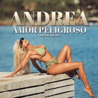 Amor Peligroso (Brodka Remix) - Single - Andrea