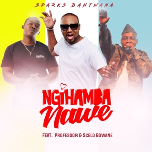 NgiHamba Nawe (feat. Professor & Scelo Gowane)