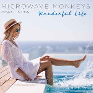 Wonderful Life (feat. Nita) - Single