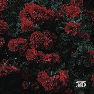 Rose (feat. Daams) [Sped Up] - Single