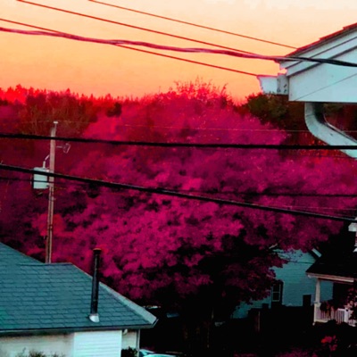 An Average Afternoon