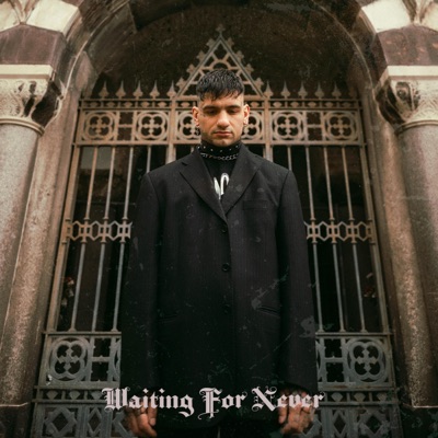 Waiting For Never - Single