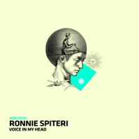 Voice In My Head - Single - Ronnie Spiteri