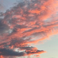 Neptunes Eye - Single - FRANTIC