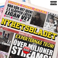 LIGAN VET - Single - Z.E & Alyssa Rallo Bennett