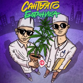 Ботаника Сантьяго