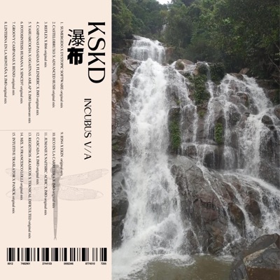 Kskd V/A X Incubus