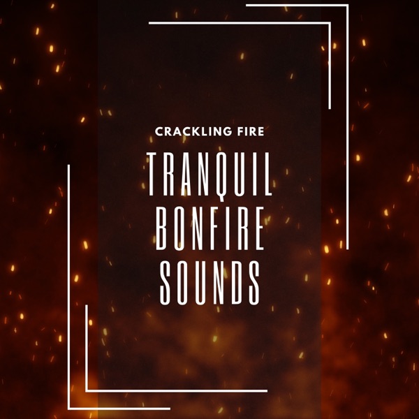 Tranquil Bonfire Sounds