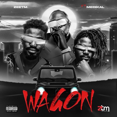 Wagon (feat. Medikal) - Single