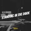 Standing in the Dark - Single