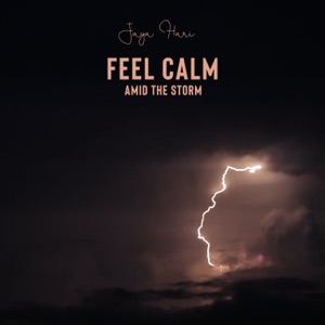 Feel Calm Amid the Storm: Attract an Abundance of Peace and Security Into Your Life, Meditate for Mental Silence