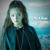 Cry Me a River - Single