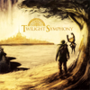 End Credits, Pt. 1 (From "the Legend of Zelda: Twilight Princess") [feat. Jeff Ball, Marc Papeghin & Michaela Nachtigall] - ZREO: Second Quest & Wayne Strange