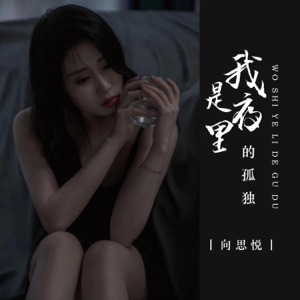 我是夜里的孤独 - EP