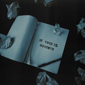 If This Is Goodbye - Single