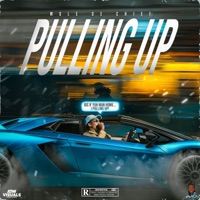 Pulling Up (feat. Mole De Chief) - Single - Maximus
