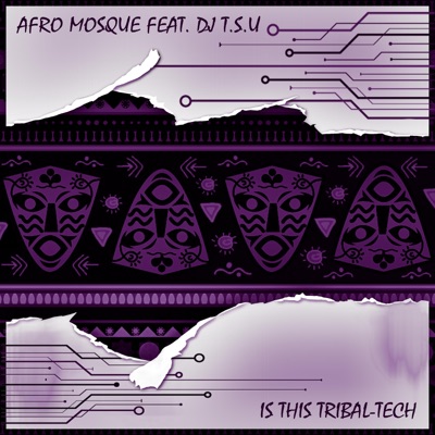 Is This Tribal-Tech (feat. DJ T.S.U) - Single