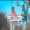 Pelakor - Ocha Shaptriasa lyrics