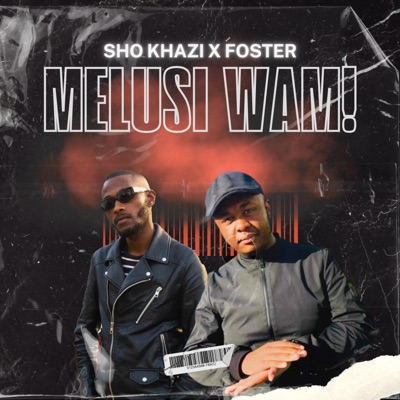 Melusi Wam (feat. FosterSA) - Single