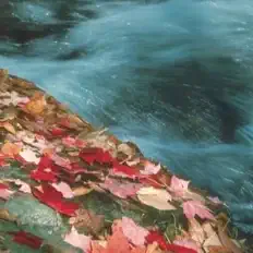 Xiaogang Yeを聴いたり、ミュージックビデオを鑑賞したり、経歴やツアー日程などを確認したりしましょう！