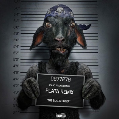 plata (feat. kingdrako) [remix] - Single