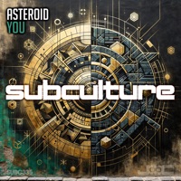 You - Single - Asteroid