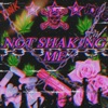 Not Shaking Me - Single