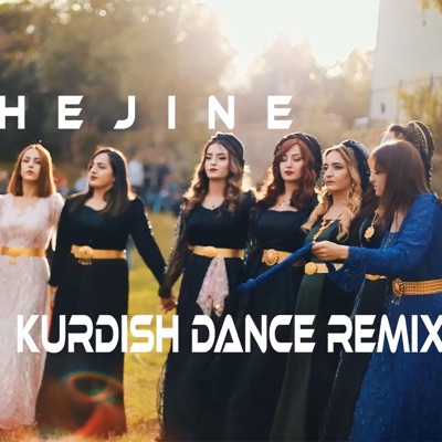 Hejine (feat. Ergin Xelikan) - Single