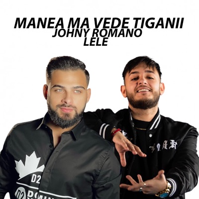 MIX PVISPE - Manea Ma Vede Tiganii