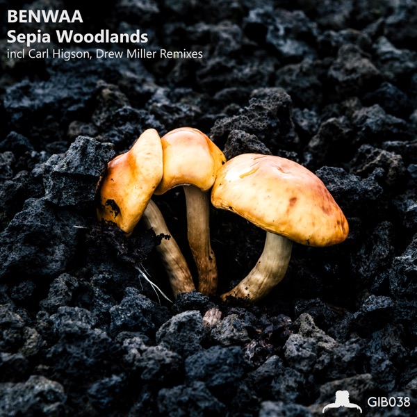 Sepia Woodlands - EP