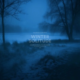 Winter Solitude Vilaxxs & crowit.