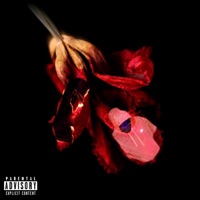 Solo Cruise (Lose It) (feat. Ninety3) - Single - K101