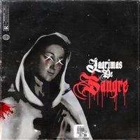 Lágrimas de Sangre (feat. Limbo Lowfi) - Single - Bns Blonds