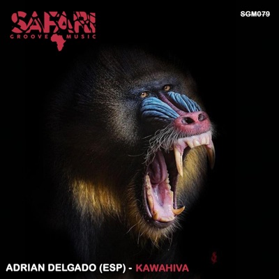 Kawahiva - Single