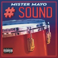 Pound Sound - Single - Mister Mayo
