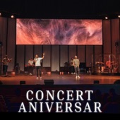 CONCERT ANIVERSAR (Live) artwork