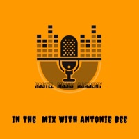 Isphithiphithi (feat. S.I.B & Eeyah) - Single - Antonie Bee