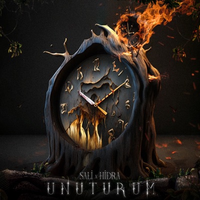 Unuturum - Single